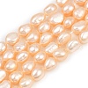 Natural Cultured Freshwater Pearl Beads Strands PEAR-P064-20I-03B-01-2