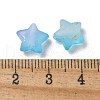 Frosted Acrylic Charms OACR-M023-04F-3