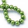 Baking Painted Pearlized Glass Pearl Round Bead Strands HY-Q003-6mm-13-4