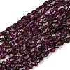 Natural Brazil Garnet Beads Strands G-Q060-A01-2