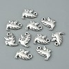 Tibetan Style Alloy Pendants FIND-CJC0007-97-2