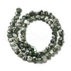 Natural Green Spot Jasper Beads Strands G-P575-C16-6mm-3