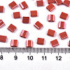 2-Hole Glass Seed Beads SEED-S031-L-ST125-2