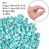 Dyed & Heated Natural Howlite Chip Beads G-GA0001-17-2