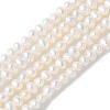 Natural Cultured Freshwater Pearl Beads Strands PEAR-I007-07F-01B-2