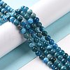 Natural Apatite Beads Strands G-J373-21-5.5mm-4