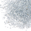 Plated Glass Seed Beads SEED-S016-03-3