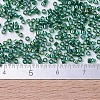MIYUKI Delica Beads SEED-J020-DB0175-4