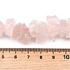 Natural Rose Quartz Beads Strands G-I283-F19-5
