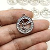 Constellation Themes Alloy Rhinestone Pendants PW-WGDA156-04-1