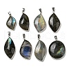 Natural Labradorite Pendants KK-C034-05P-1