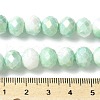 Electroplate Handmade Lampwork Beads Strands LAMP-S068-11E-4
