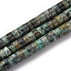 Natural African Turquoise(Jasper) Beads Strands G-Z006-C40-2