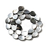 Natural Black Lip Shell Beads Strands BSHE-D300-04B-2