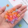 Transparent Acrylic Beads MACR-S373-02E-5