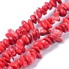 Natural Magnesite Beads Strands TURQ-P001-02A-13-1