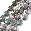 Natural Indian Agate Beads Strands G-P528-L25-01-2