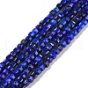 Natural Lapis Lazuli Beads Strands G-C009-B08-1