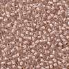 TOHO Round Seed Beads SEED-TR11-1069-2