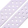 Polyester Ribbon DIY-R050-01A-2