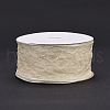 20 Yards Polyester Mesh Ribbon SRIB-P021-E07-2