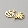 Alloy Charms FIND-WH0032-80G-2