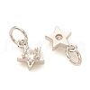 Brass Micro Pave Cubic Zirconia Charms KK-I672-30P-2