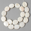 Natural Freshwater Shell Beads Strands X-SHEL-N026-70-2
