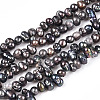 Natural Cultured Freshwater Pearl Beads Strands PEAR-S021-239-3