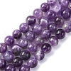 Gemstone Beads Strands G-S024-2