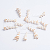 Natural Trochid Shell/Trochus Shell Beads Strands SSHEL-L016-15-4