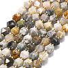 Natural Bamboo Leaf Agate Beads Strands G-I376-A70-01-2