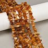 Natural Amber Chip Beads Strands G-E271-81-01-2