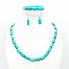 Rectangle Synthetic Turquoise Beaded Necklaces & Beaded Bracelets & Dangle Earrings Sets FS-WG10203-01-1
