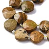 Natural Picture Jasper Beads Strands G-P570-E09-02-4