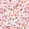 Baking Paint Glass Seed Beads SEED-F005-01A-11-3