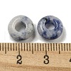 Natural Blue Spot Jasper Beads G-Q173-03A-14-3
