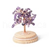 Natural Amethyst Chips Money Tree in Dome Glass Bell Jars with Wood Base Display Decorations DJEW-B007-04G-2