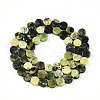 Natural Serpentine Beads Strands G-N346-06A-02-3