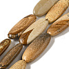 Natural Picture Jasper Beads Strands G-B078-E01-01-1