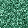 TOHO Round Seed Beads SEED-TR11-PF0561F-2