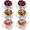 Gorgecraft 6Pcs 3 Colors Foil Chip Flake MRMJ-GF0001-54-1