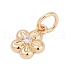 Brass Micro Pave Cubic Zirconia Charms KK-Q096-03B-G-2