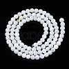 Natural Freshwater Shell Beads Strands BSHE-T009B-01A-3