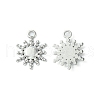 Non-Tarnish 304 Stainless Steel Charms STAS-L269-039P-1