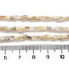 Natural Freshwater Shell Beads Strands X-SSHEL-B002-17-4