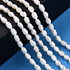 Natural Cultured Freshwater Pearl Beads Strands X1-PEAR-N012-03H-6