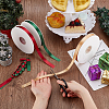   3 Rolls 3 Colors Polyester Ribbon OCOR-PH0004-55-3