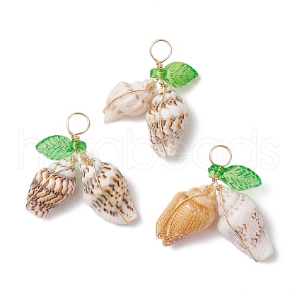 Natural Sea Shell Copper Wire Wrapped Pendants PALLOY-JF03611-03-1
