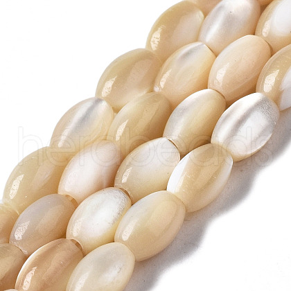 Natural Trochid Shell/Trochus Shell Beads Strands SSHEL-S266-021B-01-1
